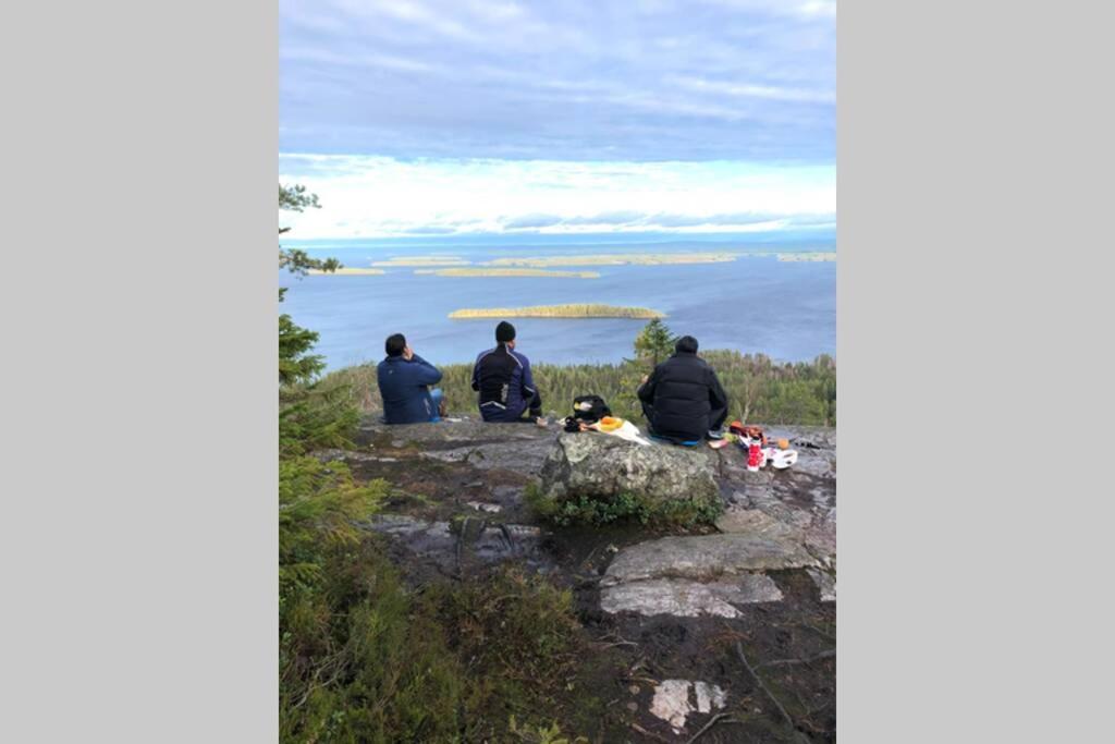 Kolin Pikkukolo - Saunallinen Studiohuoneisto Kolinkylä Esterno foto