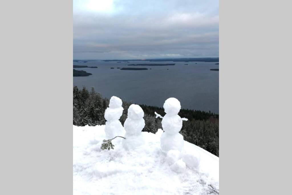 Kolin Pikkukolo - Saunallinen Studiohuoneisto Kolinkylä Esterno foto
